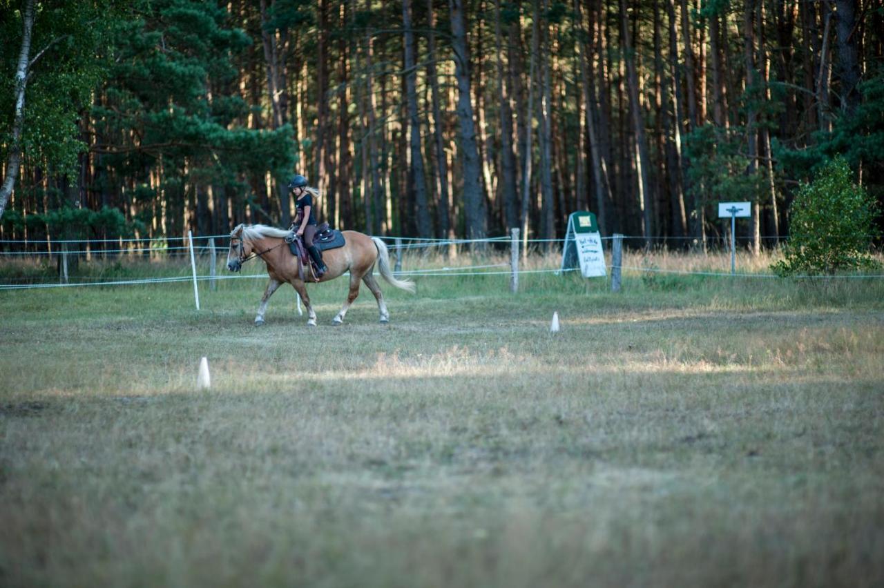 Traumhaff Denkmalgeschuetzter Amalienhof Sauna, Offener Kamin, Hund Ahlbeck  Esterno foto